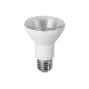 LED PAR20