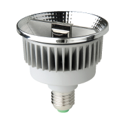 LED PAR30