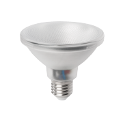 LED PAR30S