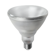 LED PAR38